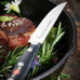 F Dick Premier Plus Steak Knife Serrated Edge 12cm